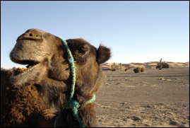 Karte Motorradtour Marroko, Map motorcycle tour morocco